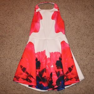 Lulu’s Mini, Backless Dress